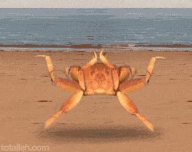 螃蟹橫著走